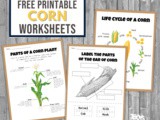 Corn Activity Set Worksheets