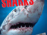 Discovery Channel Big Book of Sharks $12.18