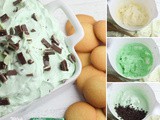 Easy Andes Mint Dip Recipe