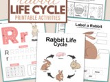 Educational and Fun Rabbit Lifecycle Worksheets
