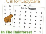 Find the Letter c is for Capybara Worksheets