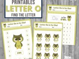 Find the Letter o is for Owl Worksheet Pack