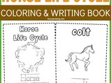 Free Educational Printable on the Horse Life Cycle