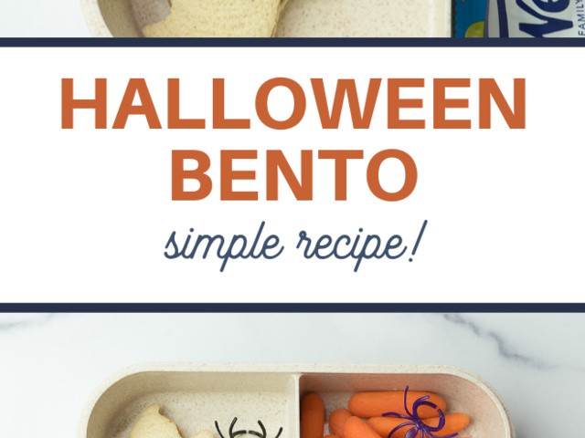 Bento Turkey Sweet Hot Pockets Recipe - 3 Boys and a Dog