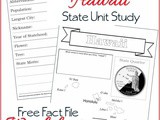 Hawaii State Fact File Worksheets