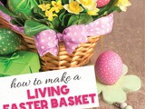 How to Create a Living Easter Basket