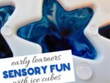 Ice Cube Sensory Play Fun