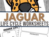 Jaguar Life Cycle Worksheets