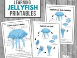 Jellyfish Printable Pack for Kids