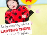 Ladybug Nursery Decor Ideas