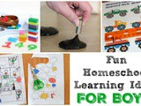 Learning Fun for Boys: Homeschooling Ideas