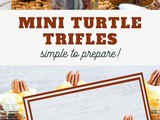 Mini Turtle Trifles Recipe