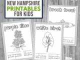 New Hampshire Coloring and Handwriting Worksheets