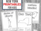 New York Coloring and Handwriting Book