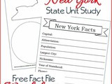 New York State Fact File Worksheets
