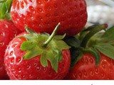 Over 10 Fresh Strawberry Dessert Recipes