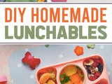 Over 20 diy Lunchable Ideas That Kids Will Love
