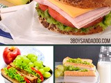 Over 50 Back to School Lunches {perfect lunchbox recipes}