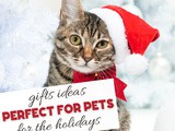 Perfect Pet Gifts {Holiday Gift Guide}