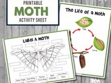 Printable Moth Activity Set