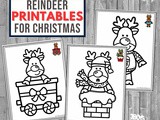 Reindeer Coloring Activities for Preschool