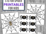 S is for Spider Sorting Activity