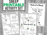 Sheep Activity Printable Set