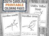 South Carolina Coloring and Handwriting Book