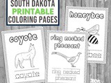 South Dakota Coloring and Handwriting Book