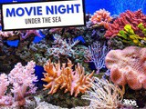 Under the Sea Movie Night Ideas