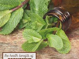 Uses for Cornmint Essential Oil