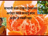 Amazing Benefits of Orange Peel for Skin And Hair in Marathi