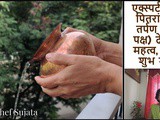 Expert Tips Pitru Paksha Importance, Vidhi And Shubh Muhurt In Marathi