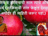 Health Benefits of Pomegranate and Skin for Heart, Cancer and Bone In Marathi