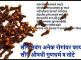 Lavang Aushadhi Gundharm Health Benefits And Side effects Of Cloves In Marathi