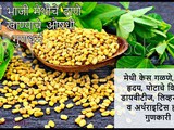Methi Aushadhi Gundharm Benefits Of Methi Seeds In Marathi