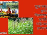 Significance Or Importance Of Kartik Month And Upay In Marathi