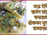 Soft Tasty Khaman Dhokla Rice & Chana Dal Dhokla For Kids Tiffin Recipe In Marathi