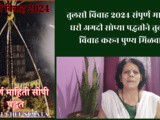 Tulsi Vivah 2024 Vidhi Full Information In Marathi