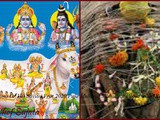 Vat Poornima Or Vat Savitri Vrat 2020 Puja Muhurat Mahatwat Pooja Vidhi Katha