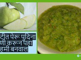 Zatpat Peru Pudina Chutney | Guava Chutney | Amrud Chutney Recipe In Marathi