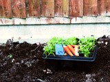 Create your own Kitchen Garden (Part 2 – Spring Preparations)