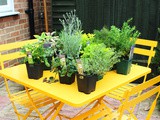Create your own Kitchen Garden (Part 3 – Herbs)