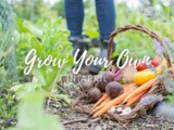 Grow Your Own in April