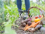 Grow Your Own In July