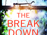 The Breakdown Book Review