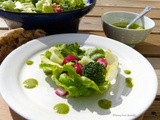 Salad with it Radish tops Vinaigrette – Vegan –
