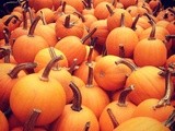 Wordless Wednesday: Pumpkins Ready for Picking