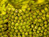 Keralan-style banana fritters