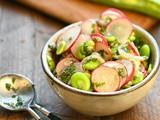 Radish, broad bean and mint salad